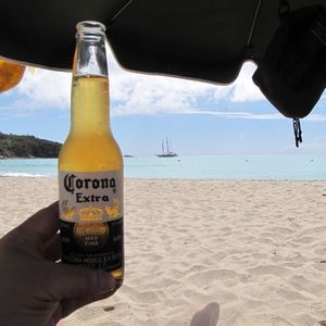 Meet your Posher, Fred-diane drew